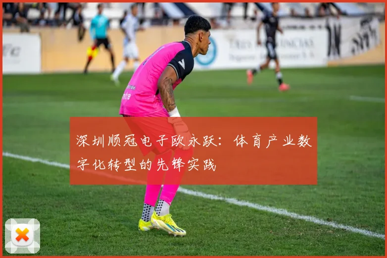 深圳顺冠电子欧永跃：体育产业数字化转型的先锋实践